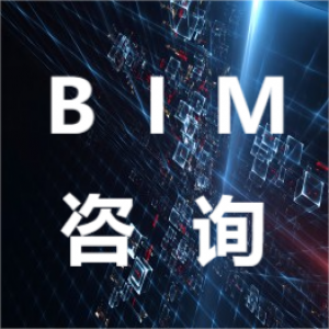  BIM